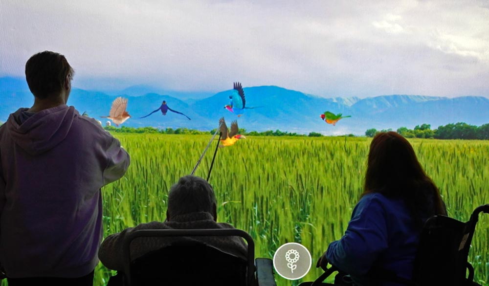 Compartiendo experiencias